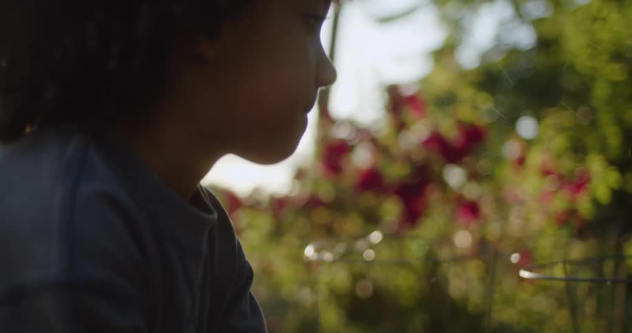 A boy is watering the plants in the garden