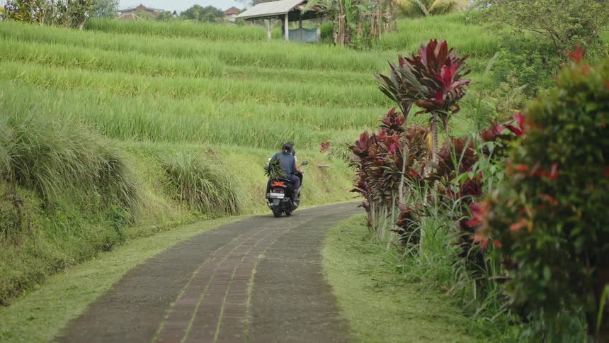 Two people ride on a motorcycle down a vehicle path in Bali