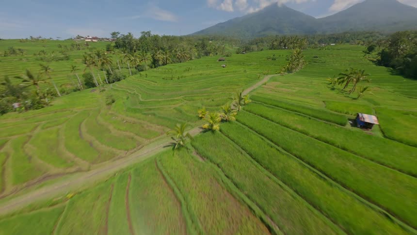 Aerial view of a lush green landscape with terraced rice fields and mountains in the background