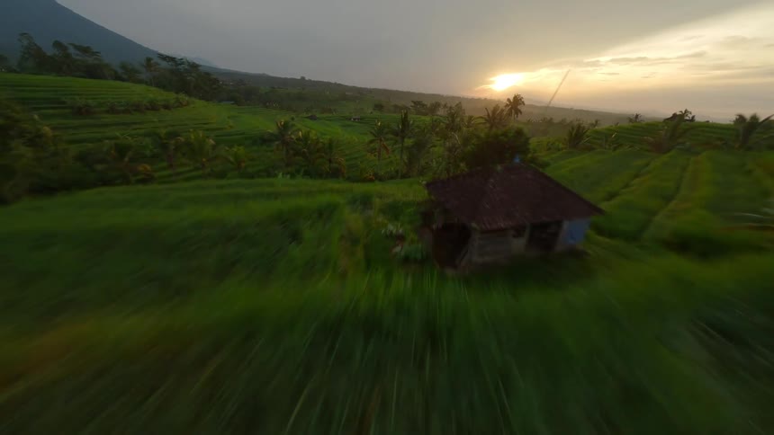 Sunset view of lush green agricultural fields and mountains of Bali
