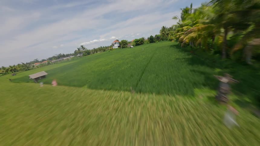 Aerial view of a lush green landscape with terraced rice fields