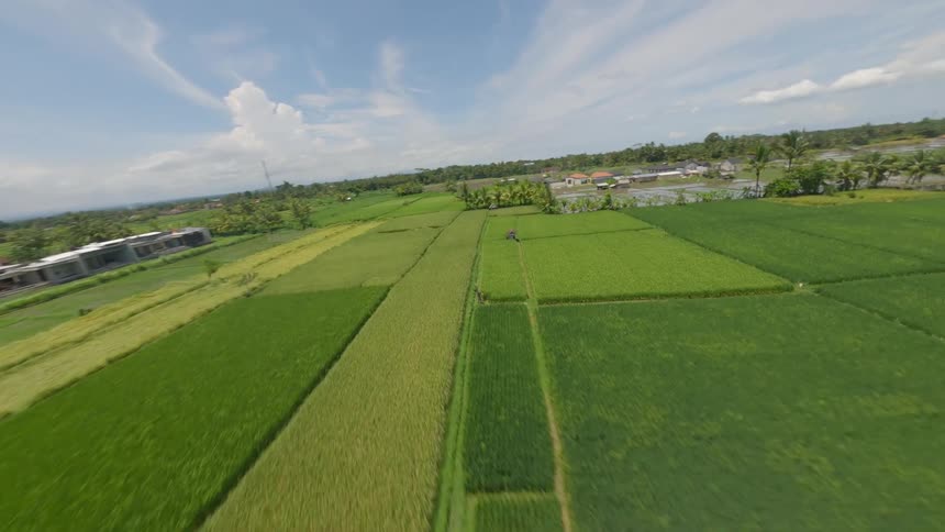 Aerial panorama of green agricultural fields surrounded by vegetation and huts