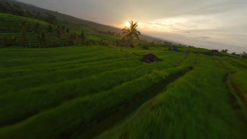 Aerial view of terraced rice field stretching across the landscape at sunset