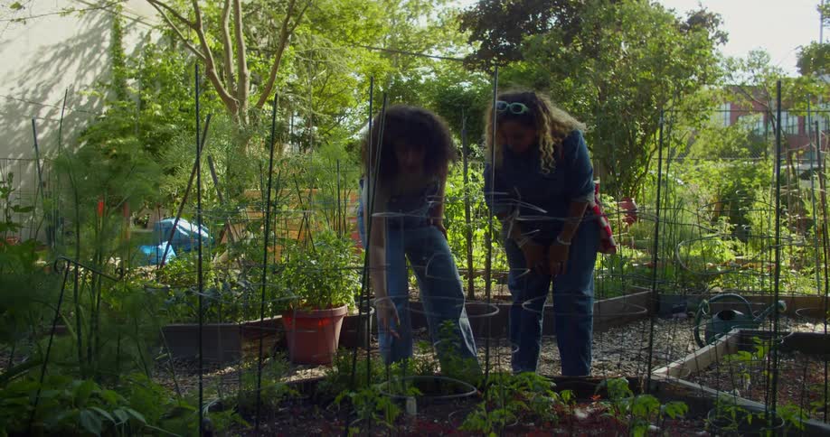 Two women friends walk through a garden and stop to take a closer look at a plot