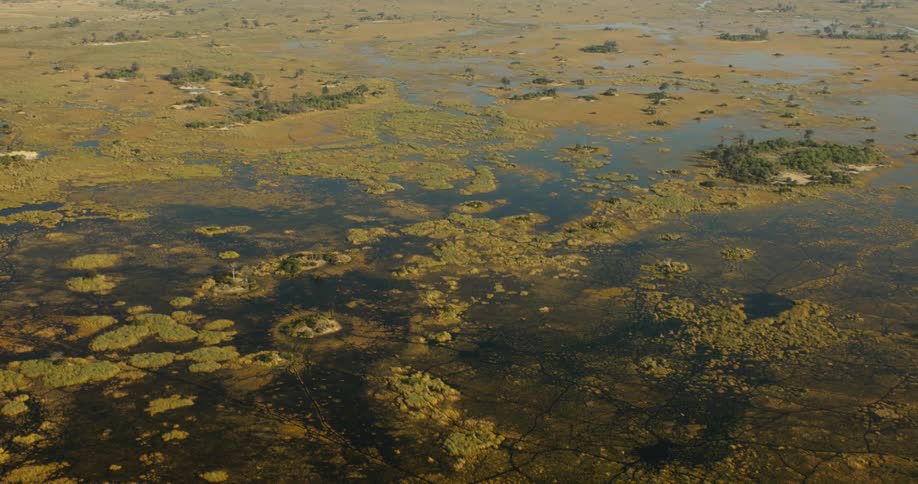 Small islets tower over the water in swamp surrounded by grassland