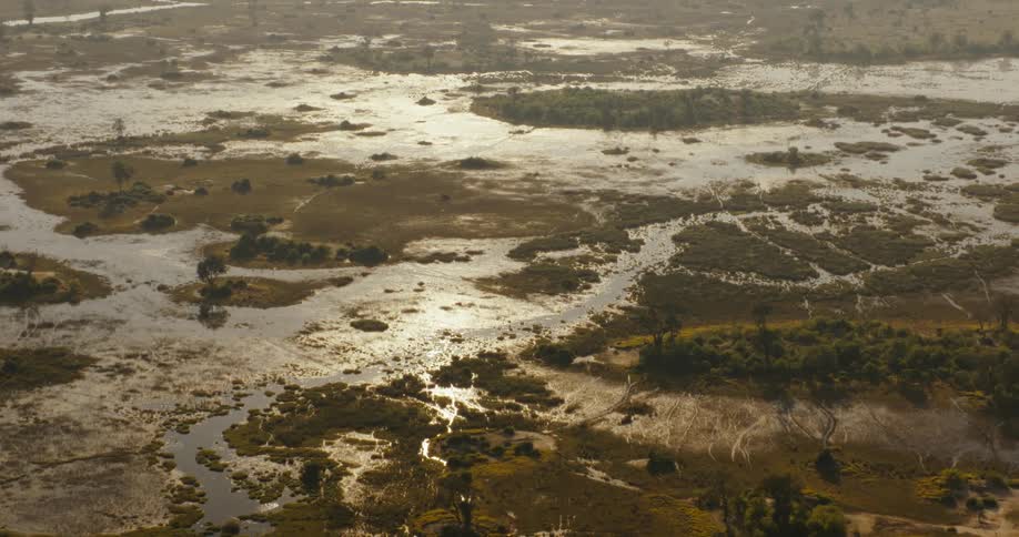 The sun is reflecting on the swamp