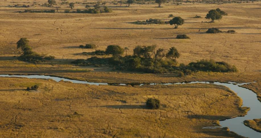 A grove of trees grows near a river running through a vast savanna