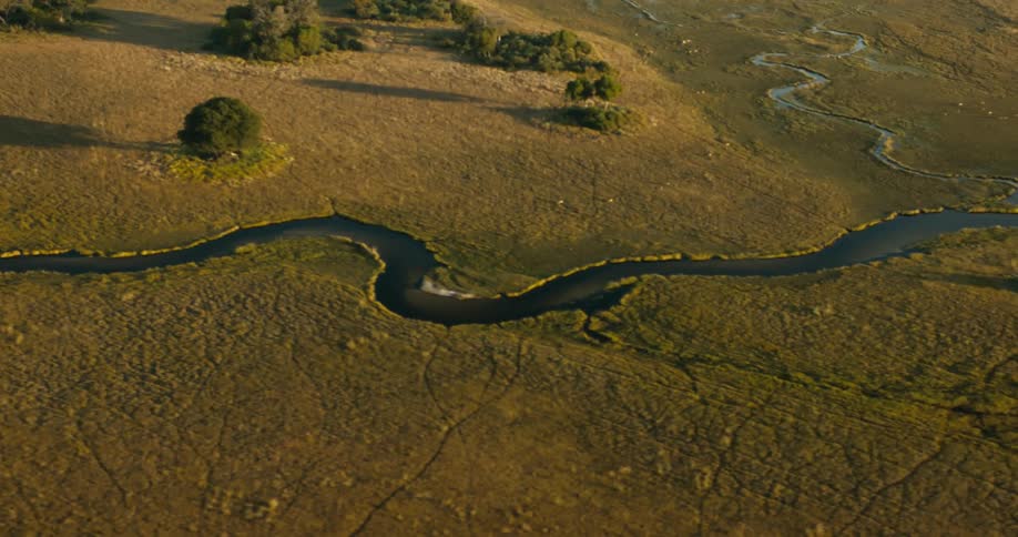 Aerial view of several rivers meandering through a jungle