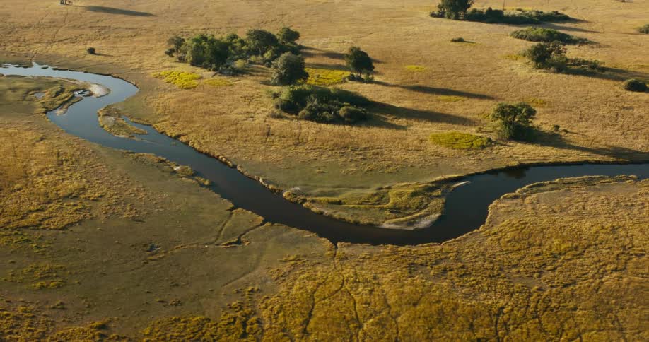 A river meanders through a large savanna