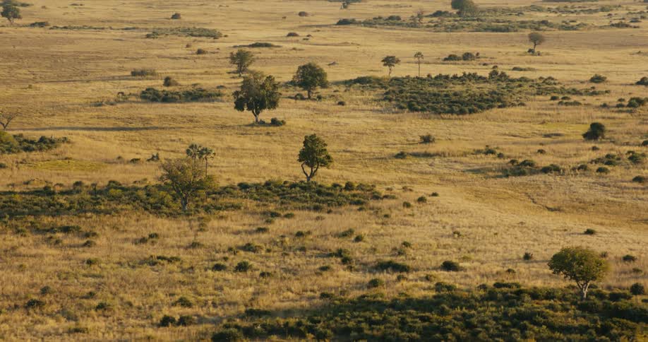 Aerial view of a natural region in the jungle