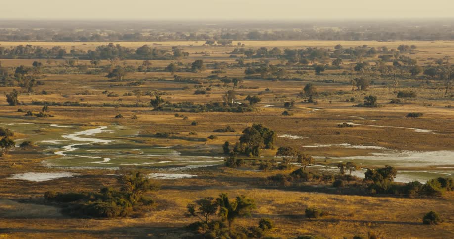 Rivers and pools of water scattered around a partially forested savanna on the Okavango Delta