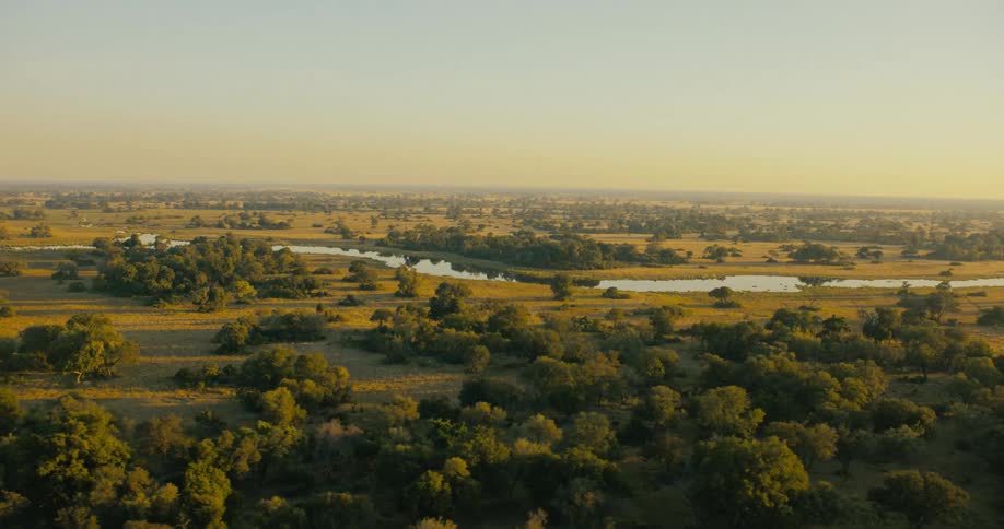 Aerial landscape of a jungle with vegetation and trees and a winding lake on the Okavango Delta