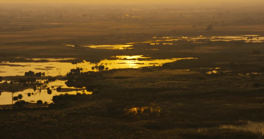 A serene sunrise or sunset over a wetland area