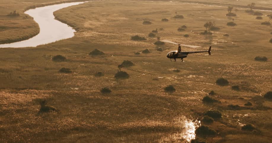 A helicopter flies over the swamp on the Okavango Delta