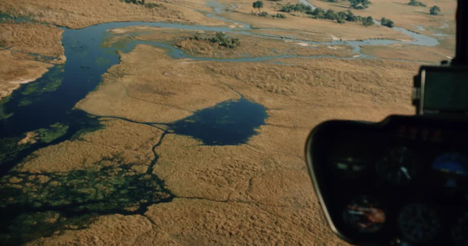 A river in a savannah seen by a person in a helicopter on the Okavango Delta