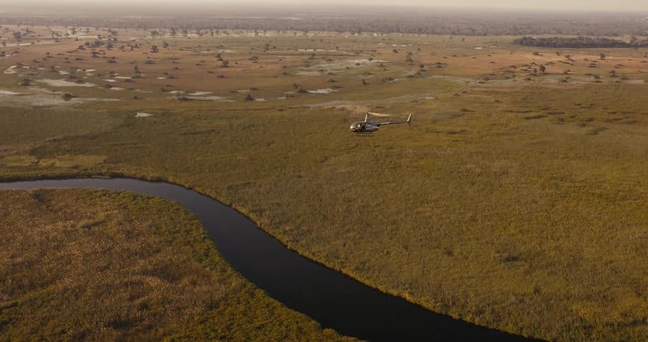 Aerial view of a helicopter flying over a jungle zone with rivers snaking across the landscape