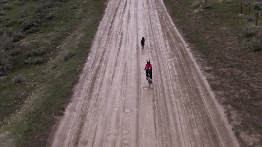 Person riding bike after running dog down dirt road
