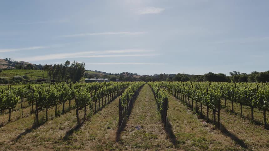 Panorama of an agricultural field on a partly cloudy day