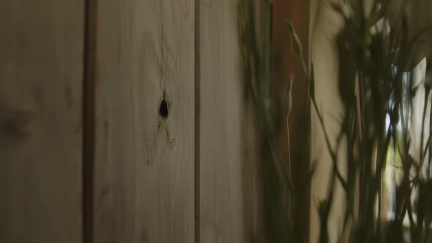 A close up of a wooden wall with visible grain patterns and a small black blemish