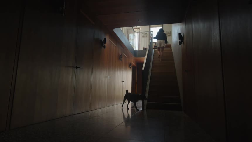 Woman climbing the stairs of a house and right behind a dog climbing with her