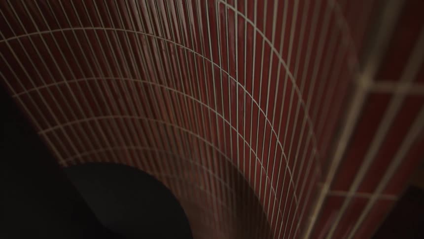 Interior design of a curved ceiling in a lowlight environment