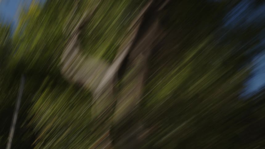A slow motion blur of trees passes by against a blue sky