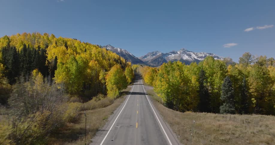 Highway surrounded by yellow conifers with mountains on the horizon