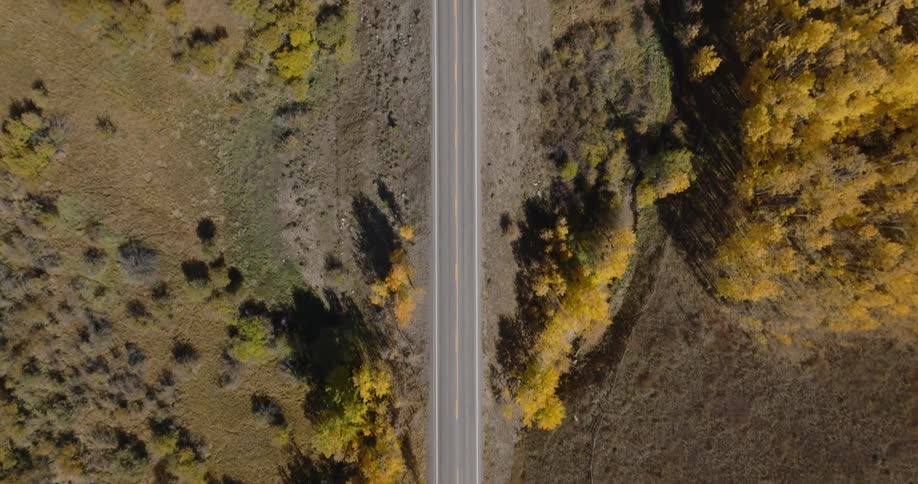 Aerial view of a long straight highway with vehicle traffic surrounded by colorful conifers
