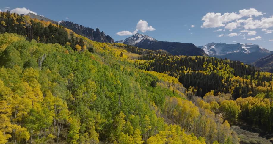 Aerial landscape of mountains with yellowish and greenish conifers