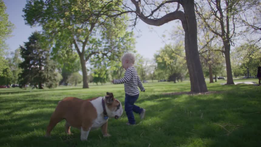 Small blond boy running on the grass in a park and a dog beside him