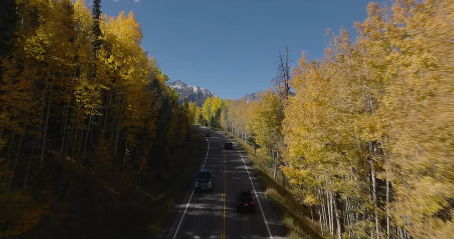 Aerial view of a car driving on a road surrounded by autumn trees under a clear blue sky