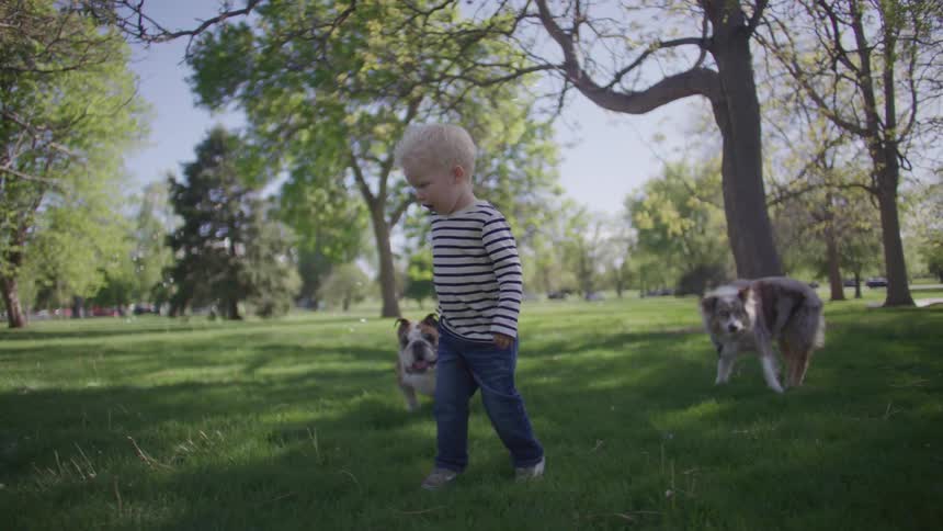 Little boy running after soap bubbles flying across the grass in a park with two dogs around