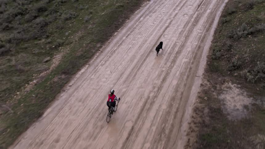 A person riding a bike down a road with a dog running in front of them