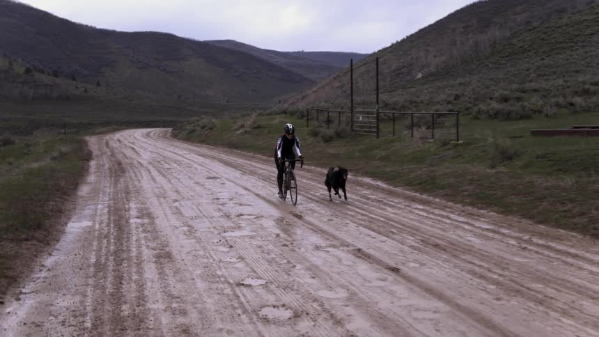 Cyclist riding along a wet dirt road as a black dog dogs beside him