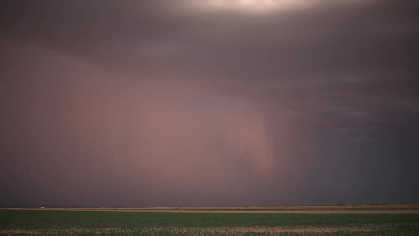 A lightning storm of a gray cloud in a field of grass that stretches to the horizon