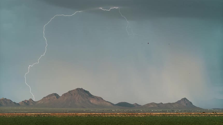 Two birds fly by the lightning strikes of a storm