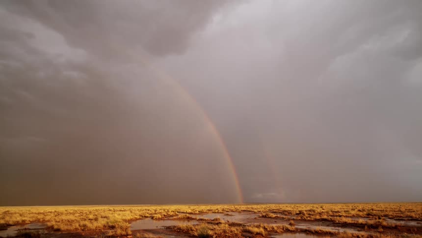 A rainbow is in the sky as a lightning storm strikes over a grassland