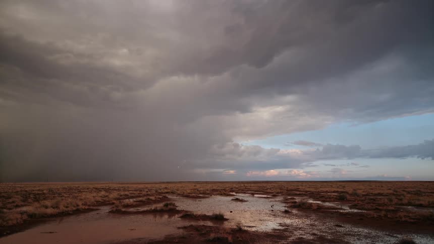 Landscape with body of water and dry in a stormy sky