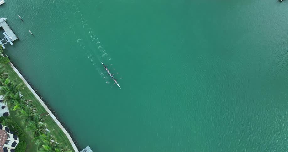 Aerial view of a canoeing team moving through a canal with greenish waters