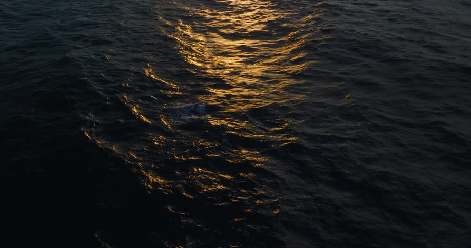 Calm waters of an ocean with sunset reflection