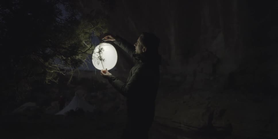A person hangs a glowing orb in the trees at night