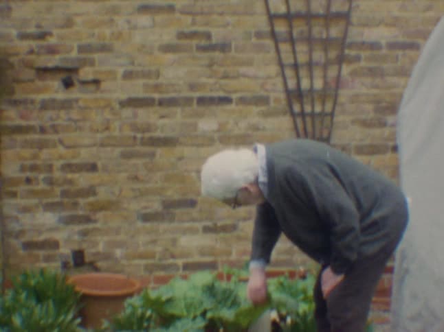 Elderly man in a backyard looking at green leaves and plants