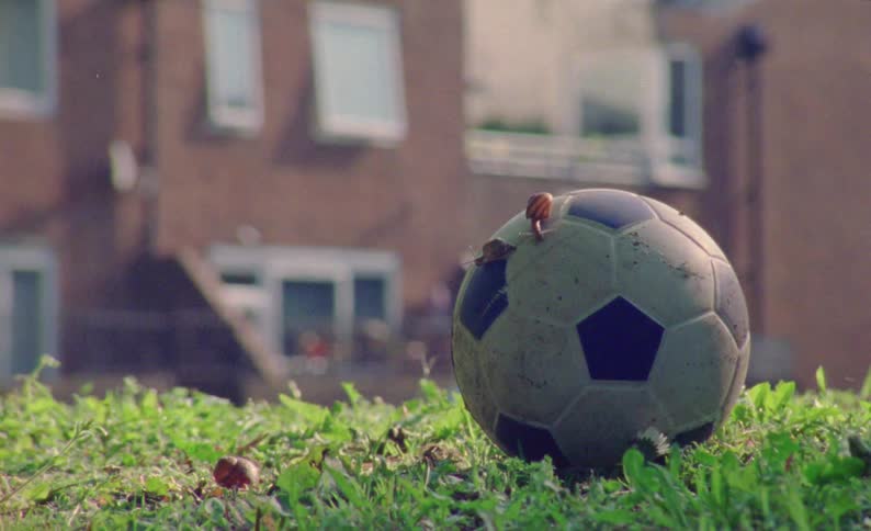 A snail crawls on a soccer ball sitting in grass near an apartment building