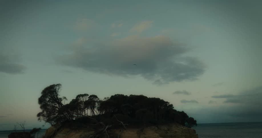 Aerial panorama of a rocky coast with seaside vegetation