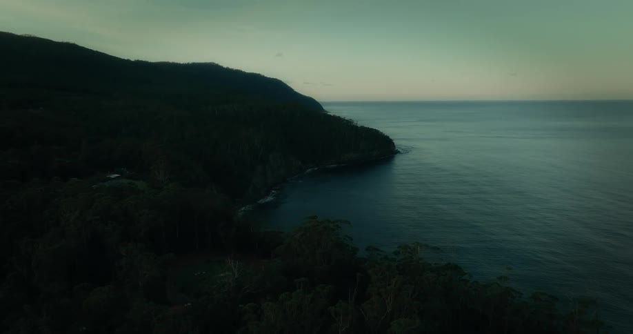 Aerial panorama of the coast with vegetation by the sea