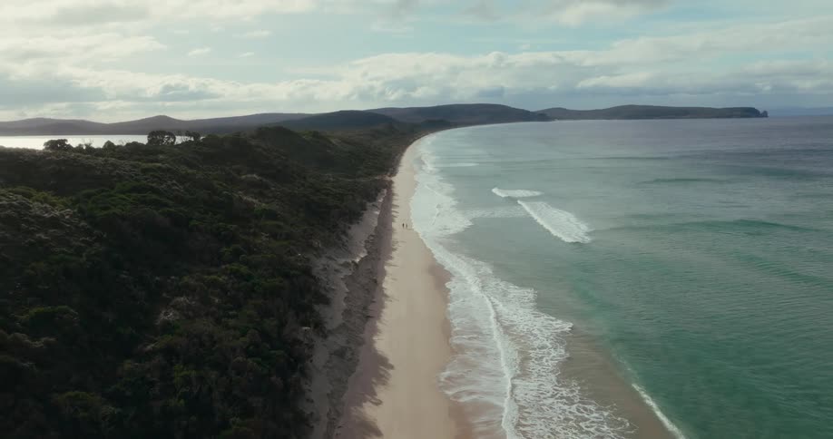 An aerial view of a beach with a dense tree line on one side and waves gently lapping against the shore