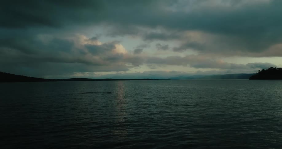 A vast body of water stretches out reflecting the early morning or late evening light