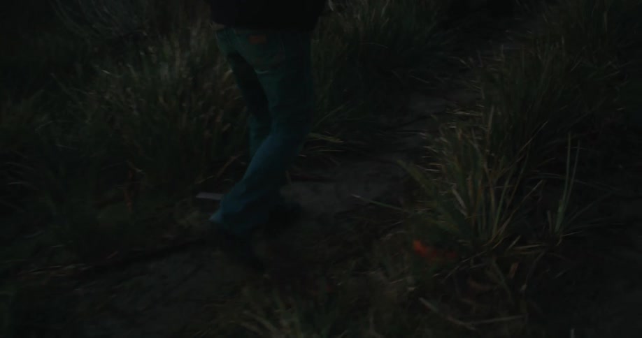 Someone walking at night on a path across a grass field