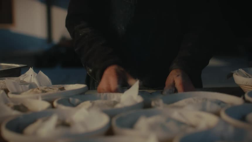 Pair of hands preparing chinese dumplings