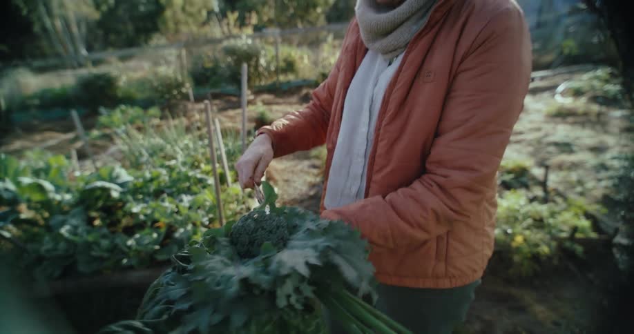 Woman in a vegetable garden holding a vegetable with her hands